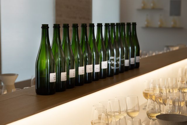 Champagne's 2024 harvest: small but mighty