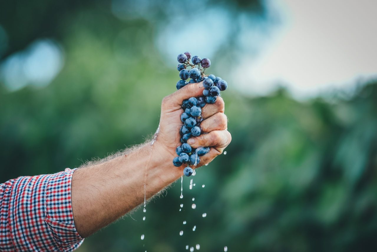 Is this the year of the high-end harvest party?
