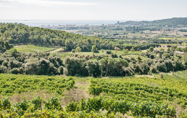 Clos d’Agon